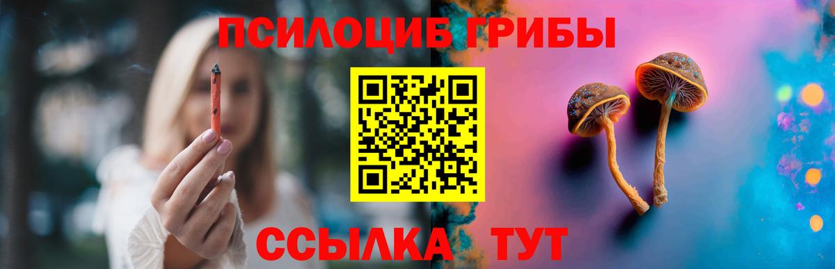 Псилоцибиновые грибы мицелий Холмск